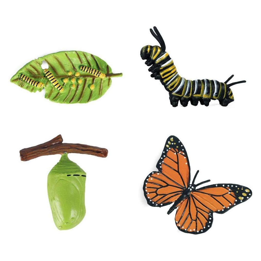 Lebenszyklus-Schmetterling-Spielzeugfiguren-Set (47314366)