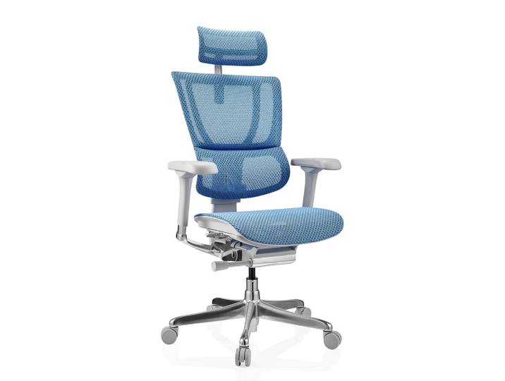 ERGOHUMAN SLIM G GEN2 Netz - Luxus Chefsessel Blau