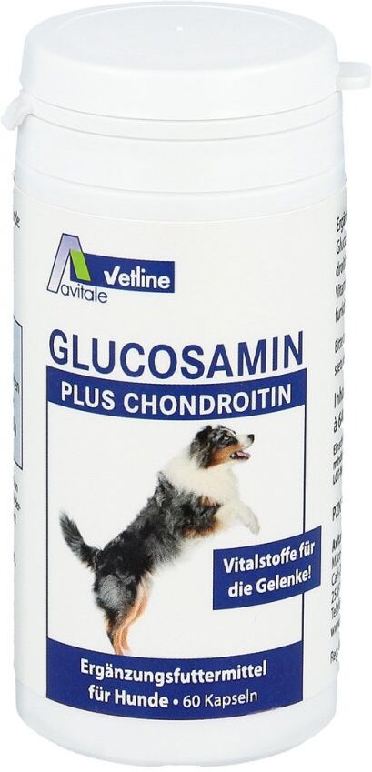 Glucosamin+chondroitin Kapseln für Hunde