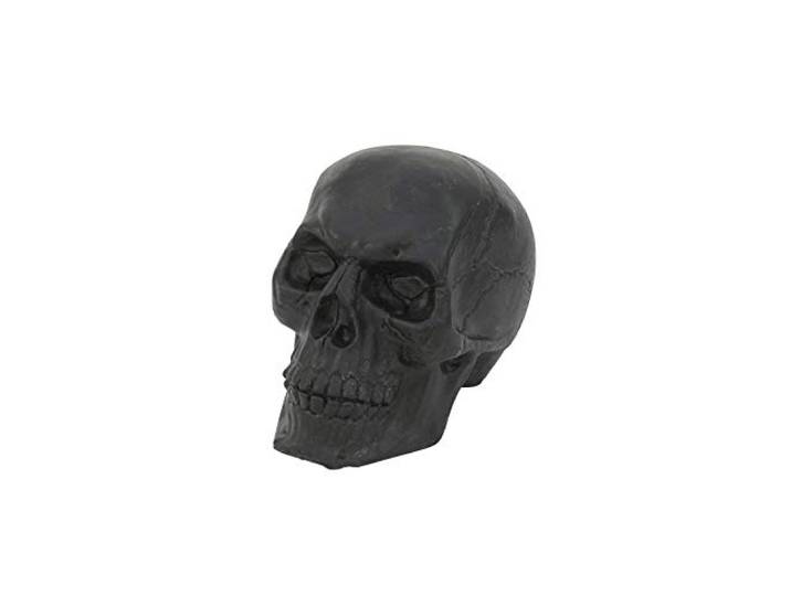 Euro Palms Halloween-decoratie, zwart