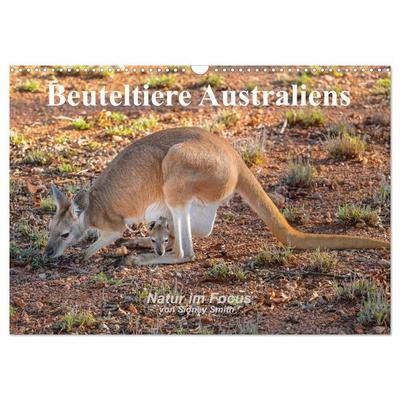 Beuteltiere Australiens (Wandkalender 2027 DIN A3 quer), CALVENDO Monatskalender