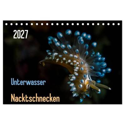 Unterwasser - Nacktschnecken 2027 (Tischkalender 2027 DIN A5 quer), CALVENDO Monatskalender