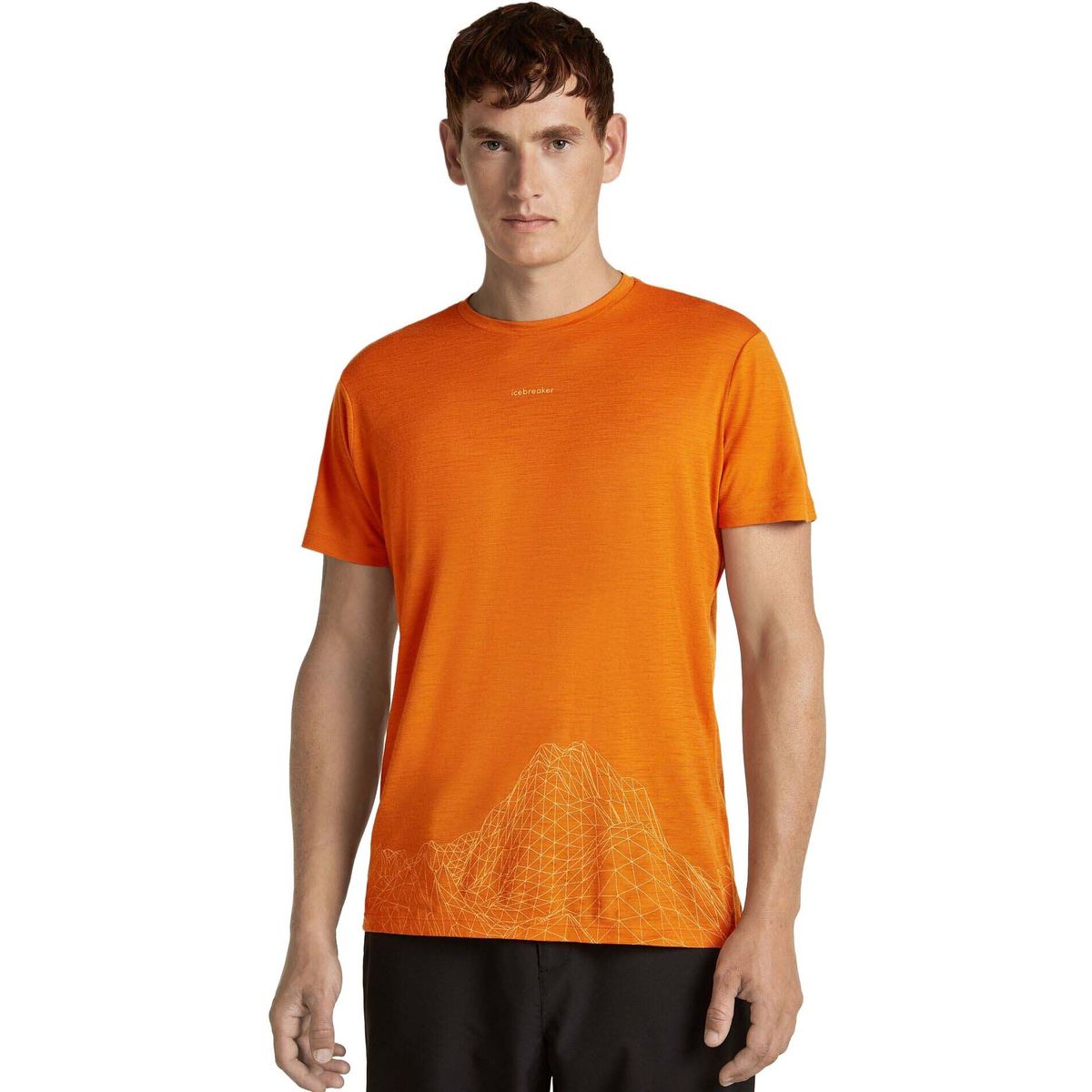 Icebreaker Men M 150 Tech Lite Short Sleeve Tee 3D Mapping spice (IB070) S 0A57JYIB070-S