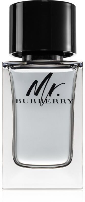 Burberry Mr. Burberry Eau de Toilette pour homme 100 ml