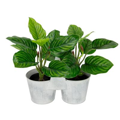 Kunstblume I.GE.A. "Künstliche Maranthus-Pflanze im Metallkorb 30cm Pothos Pflanze", grün, B:40cm H:30cm T:22cm, Obermaterial: 90% Polyester, 10% sonstige Fasern, Kunstpflanzen, Efeutute Zimmerpflanze Deko Seidenblume Kunstpflanze Blattpflanze