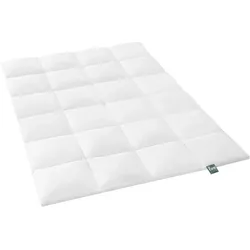 f.a.n. Frankenstolz Kassettenbettdecke Daune Canada 155x220 cm Warm