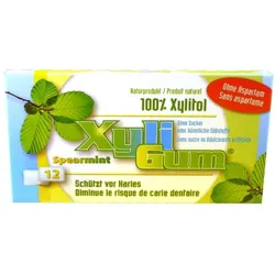 Kaugummi - Spearmint 16,8g
