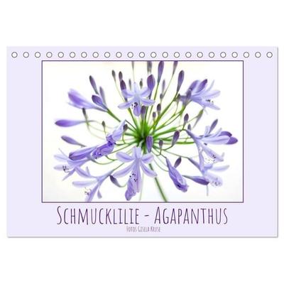 Schmucklilie - Agapanthus (Tischkalender 2026 DIN A5 quer), CALVENDO Monatskalender