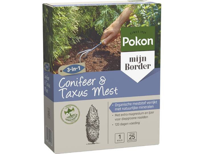 Pokon Conifeer & Taxus Mest - 1kg - Meststof - 3-in-1 werking