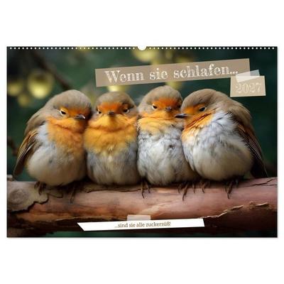Wenn sie schlafen... (Wandkalender 2027 DIN A2 quer), CALVENDO Monatskalender