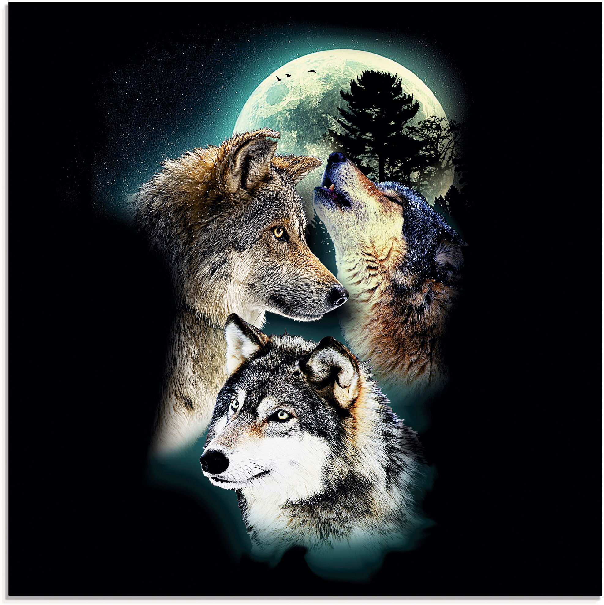 Glasbild ARTLAND "Phantasie Wolf Wölfe mit Mond", schwarz (farbe bild(er): schwarz), B:50cm H:50cm, Bilder, Glasbild, in verschiedenen Grössen farbe bild(er): schwarz B/H/T: 50cm x 50cm, Glasbild Wildtiere quadratisch, 1 Stk.