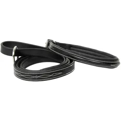 HV Polo Legacy (S, Hund, Allgemein), Halsband + Leine