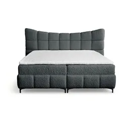 BOXBETT Nova In Rolf