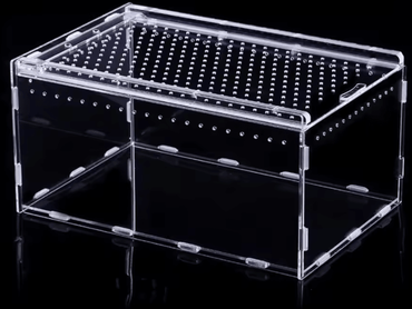 Inspire Curations Transparent Acrylic Reptile Terrarium Habitat 20x12x12cm