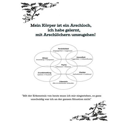 Mein Körper ist ein Arschloch, ich habe gelernt, mit Arschlöchern umzugehen!, Gebundene Ausgabe von Sinev Jasun, Tredition, 978-3-384-44112-6