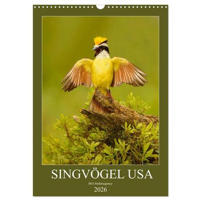 Singvögel USA (Wandkalender 2026 DIN A3 hoch), CALVENDO Monatskalender