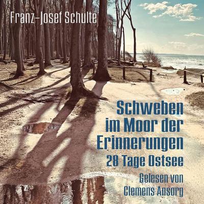 Schweben im Moor der Erinnerungen - Franz-Josef Schulte, Audio, 4067248755556