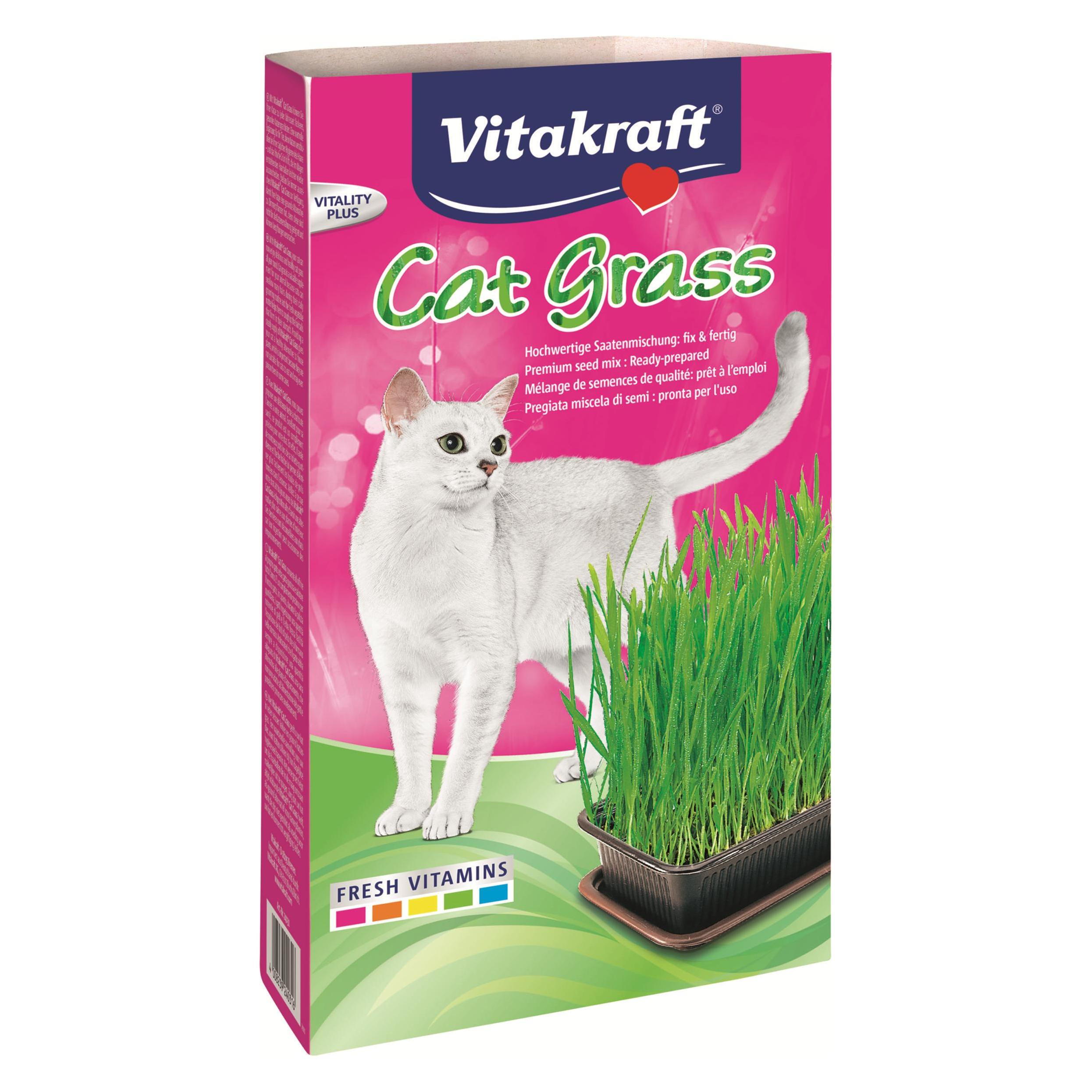 Vitakraft Vita Cat Gras Katzengras Schale (Gemüsesamen) (24031)