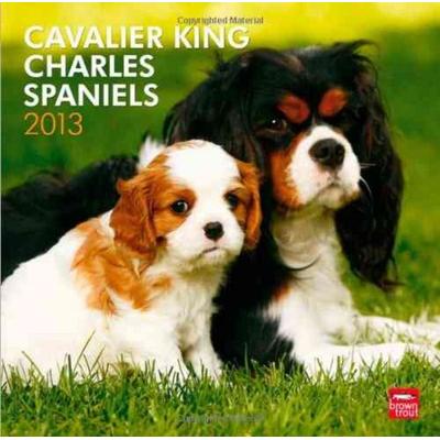 Cavalier King Charles Spaniels 2014 Wall Calendar