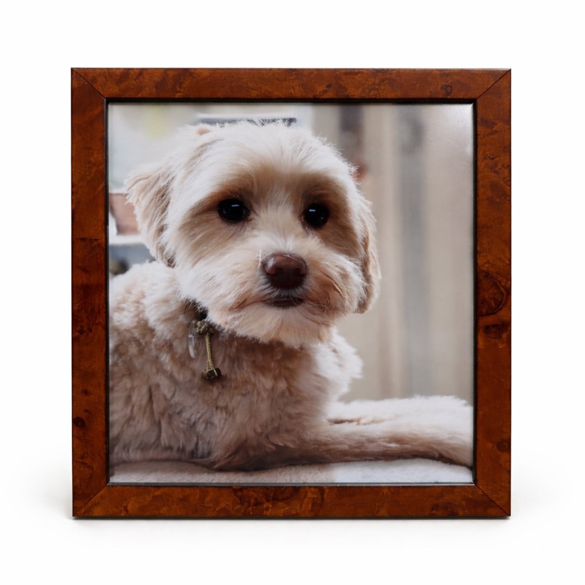 AL Fotolijst Wortelnoten Mat - 30 x 30 cm