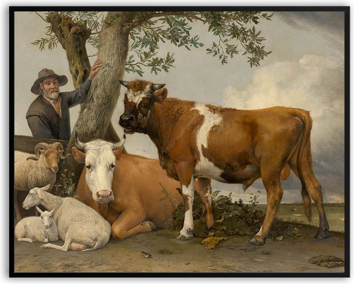 Fotolijst met glas Stier Paulus Potter schilderij reproductie 50 x 70 cm