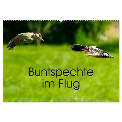 Buntspechte im Flug (Wandkalender 2027 DIN A2 quer), CALVENDO Monatskalender