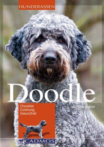 Andreas Werner - Doodle: Charakter, Erziehung, Gesundheit - Preis vom 09.10.2026 07:28:09 h