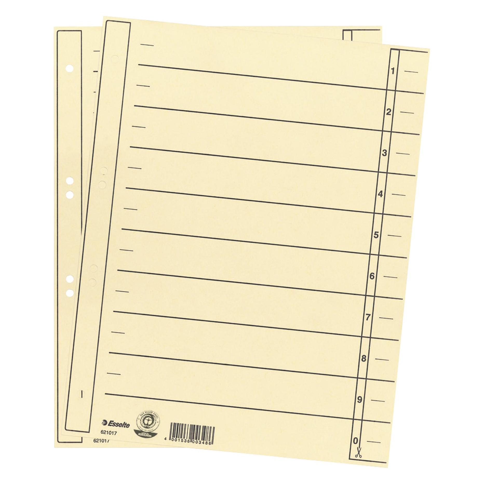Leitz Esselte Trennblatt, Kraftkarton (RC), 180 g/m², Standardlochung, A4, chamois, 100 Stück (621017)