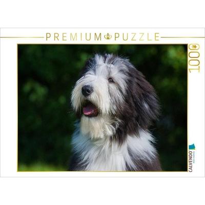 CALVENDO Puzzle Bearded Collie Welpe Porträt | 1000 Teile Lege-Größe 64x48cm Foto-Puzzle für glückliche Stunden