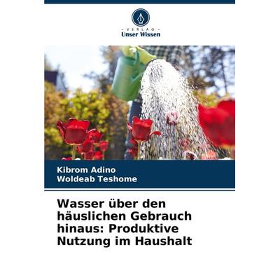 Wasser über den häuslichen Gebrauch hinaus: Produktive Nutzung im Haushalt, Taschenbuch von Kibrom Adino,Woldeab Teshome, Verlag Unser Wissen,