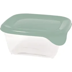 Curver Fresh&Go Frischhaltedose 0,25L quadratisch Vorratsdose stapelbar