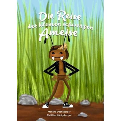 Die Reise der kleinen schwarzen Ameise, Taschenbuch von Marlene Dachsberger, Buchschmiede, 978-3-99110-081-2