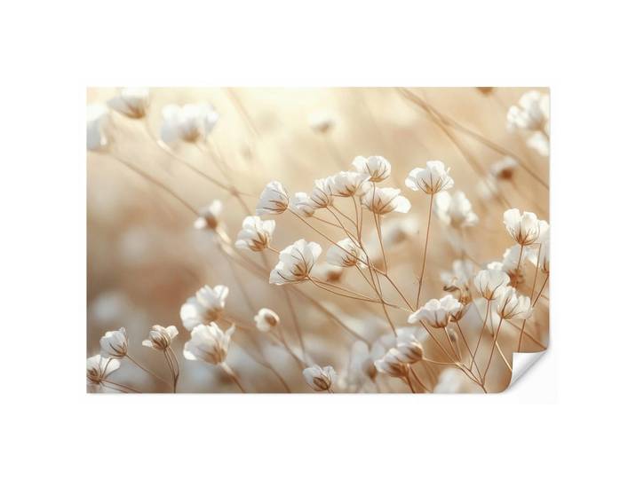 OnlyWow Tapete - Wild - Blumen - Weiß - 450x300 cm, Creme, Papier, Rechteckig, 450x300 cm, Tapeten & Wandverkleidungen, Vliestapeten