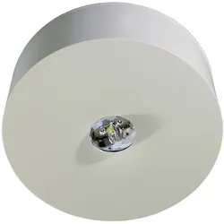 RP-Technik LED-Sicherheitsleuchte ILDL428WL