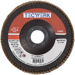 Tecwerk, Schleifmittel, Fächerscheibe (120)