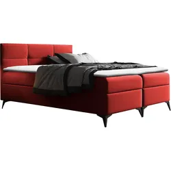 BOXBETT Figaro - H3