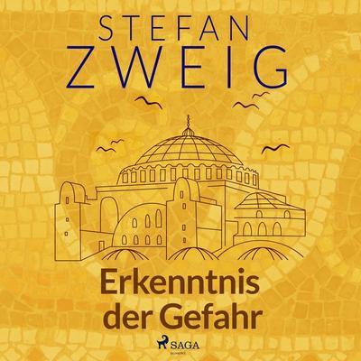 Erkenntnis der Gefahr - Stefan Zweig, Audio, 9788728200957