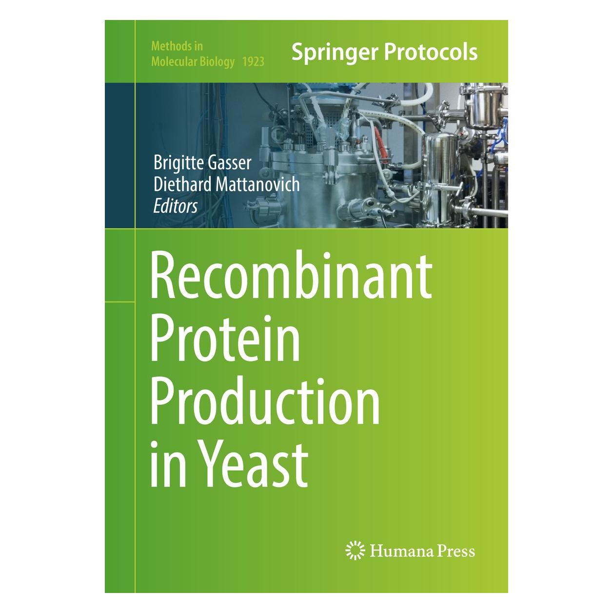 Springer Recombinant Protein Production in Yeast (Englisch, Hardcover, Brigitte Gasser, Diethard Mattanovich) (9781493990238)