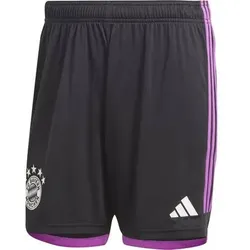 ADIDAS Herren Teamhose FC Bayern München 23/24 Auswärts, Größe 3XL in Grau Grau
