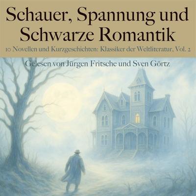 Schauer, Spannung und Schwarze Romantik, Vol. 2: 10 Novellen und Kurzgeschichten - Jack London,Washington Irving,Rudyard Kipling,Guy de
