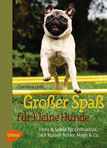 Corinna Lenz - Großer Spaß für kleine Hunde: Tricks & Spiele für Chihuahua, Jack Russell Terrier, Mops & Co. - Preis vom 17.10.2026 19:25:27 h