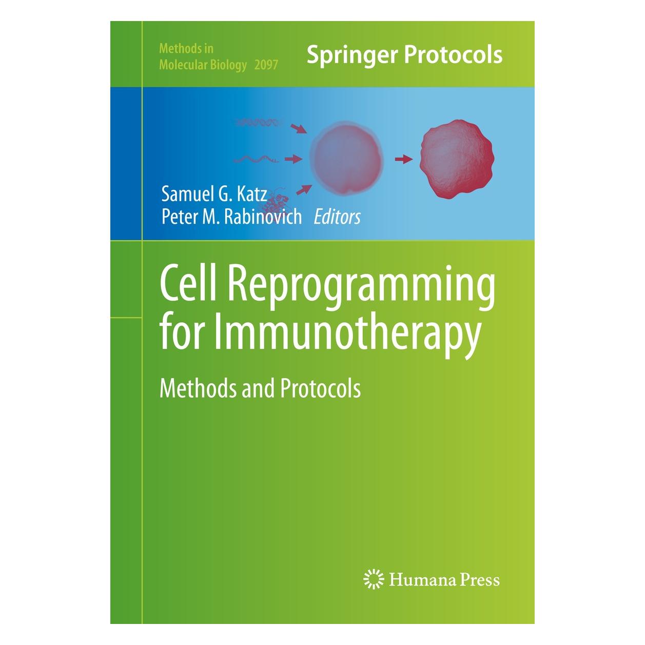 Springer Cell Reprogramming for Immunotherapy (Englisch, Hardcover, Peter M. Rabinovich, Samuel G. Katz) (9781071602027)