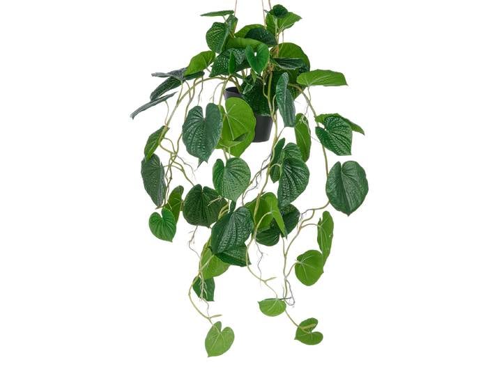 Kunstpflanze Peperomia Caperata 25 x 70 x 25cm