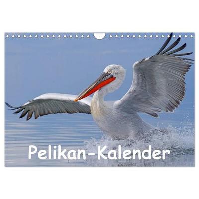 Pelikan-Kalender (Wandkalender 2027 DIN A4 quer), CALVENDO Monatskalender