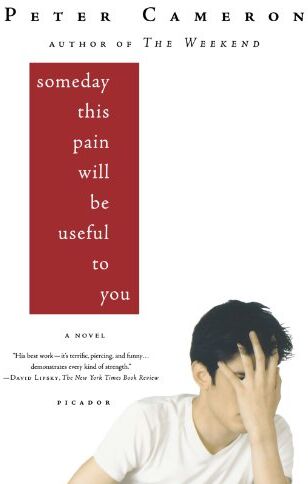 Peter Cameron - Someday This Pain Will Be Useful to You - Preis vom 14.10.2026 23:07:16 h