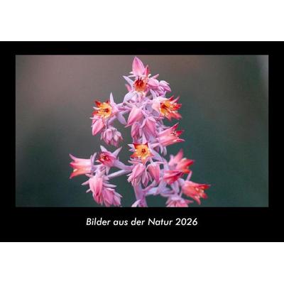 Bilder aus der Natur 2026 Fotokalender DIN A3
