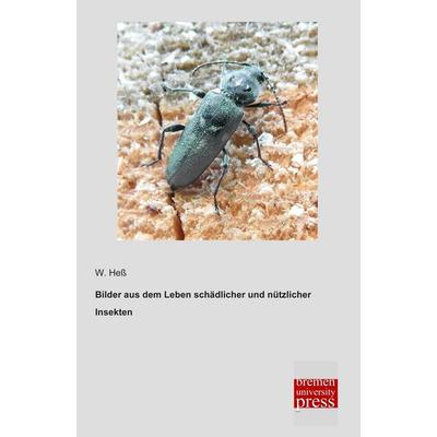 Bilder aus dem Leben schädlicher und nützlicher Insekten, Taschenbuch von W. Hess, Bremen University Press, 978-3-95562-934-2