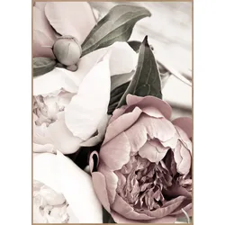 Posterboard OPLULENT 1 (BH 30x40 cm) - bunt - BH 30x40 cm