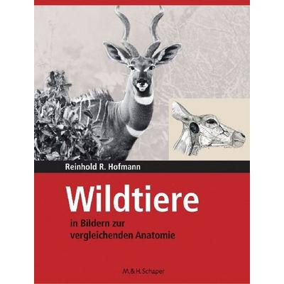 Wildtiere in Bildern zur Vergleichenden Anatomie, Gebundene Ausgabe von Reinhold R. Hofmann, Philatelie Verlag, 978-3-7944-0214-4