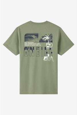 O'Neill s Cutback Classic T-Shirt in Sage, Size 2XL